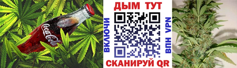закладка  Северск  Cannafood конопля 