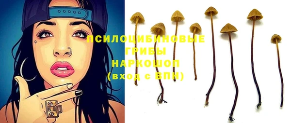 ПСИЛОЦИБИНОВЫЕ ГРИБЫ Зеленодольск