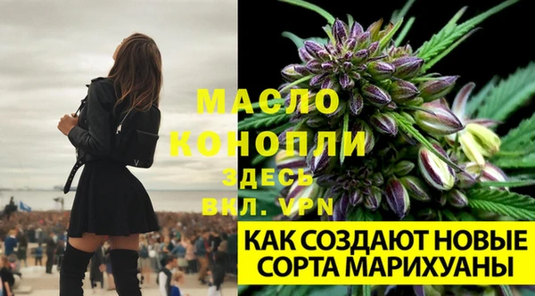амф Зеленокумск