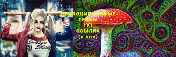 ПСИЛОЦИБИНОВЫЕ ГРИБЫ Зеленодольск