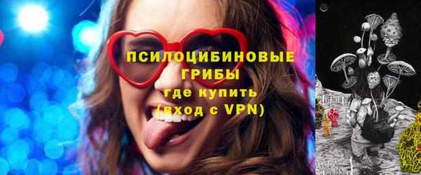 амф Зеленокумск