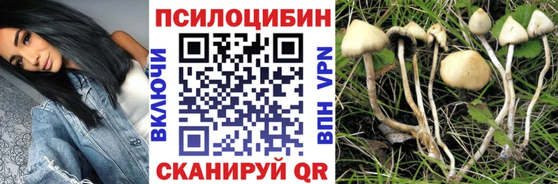 Псилоцибиновые грибы мицелий  Северск 