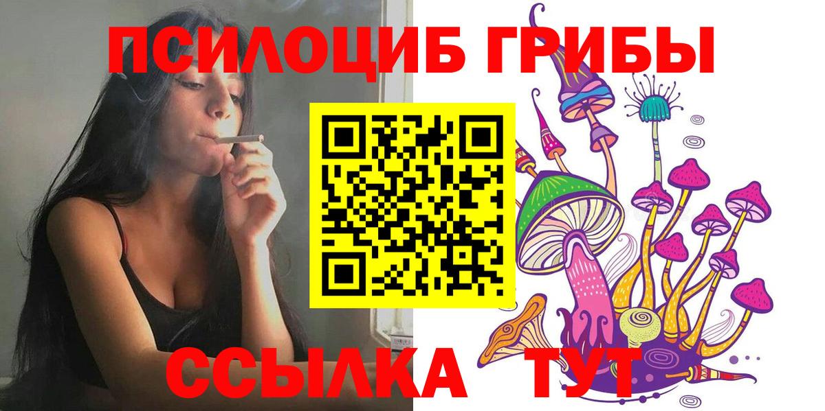 Галлюциногенные грибы Psilocybe  Вход с VPN  что такое наркотик  Северск 