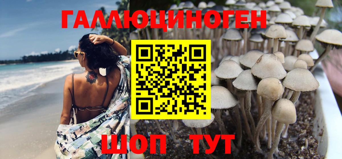 Галлюциногенные грибы Magic Shrooms Северск