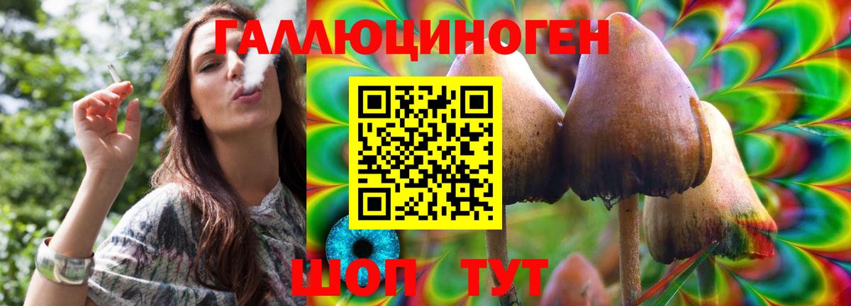 Галлюциногенные грибы ЛСД  Северск 